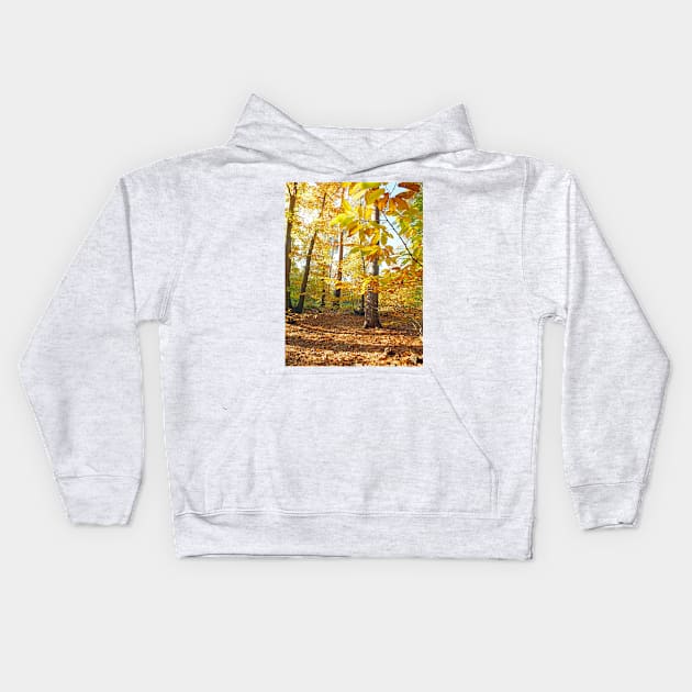 Woodland Trees in Autumn Kids Hoodie by pinkal